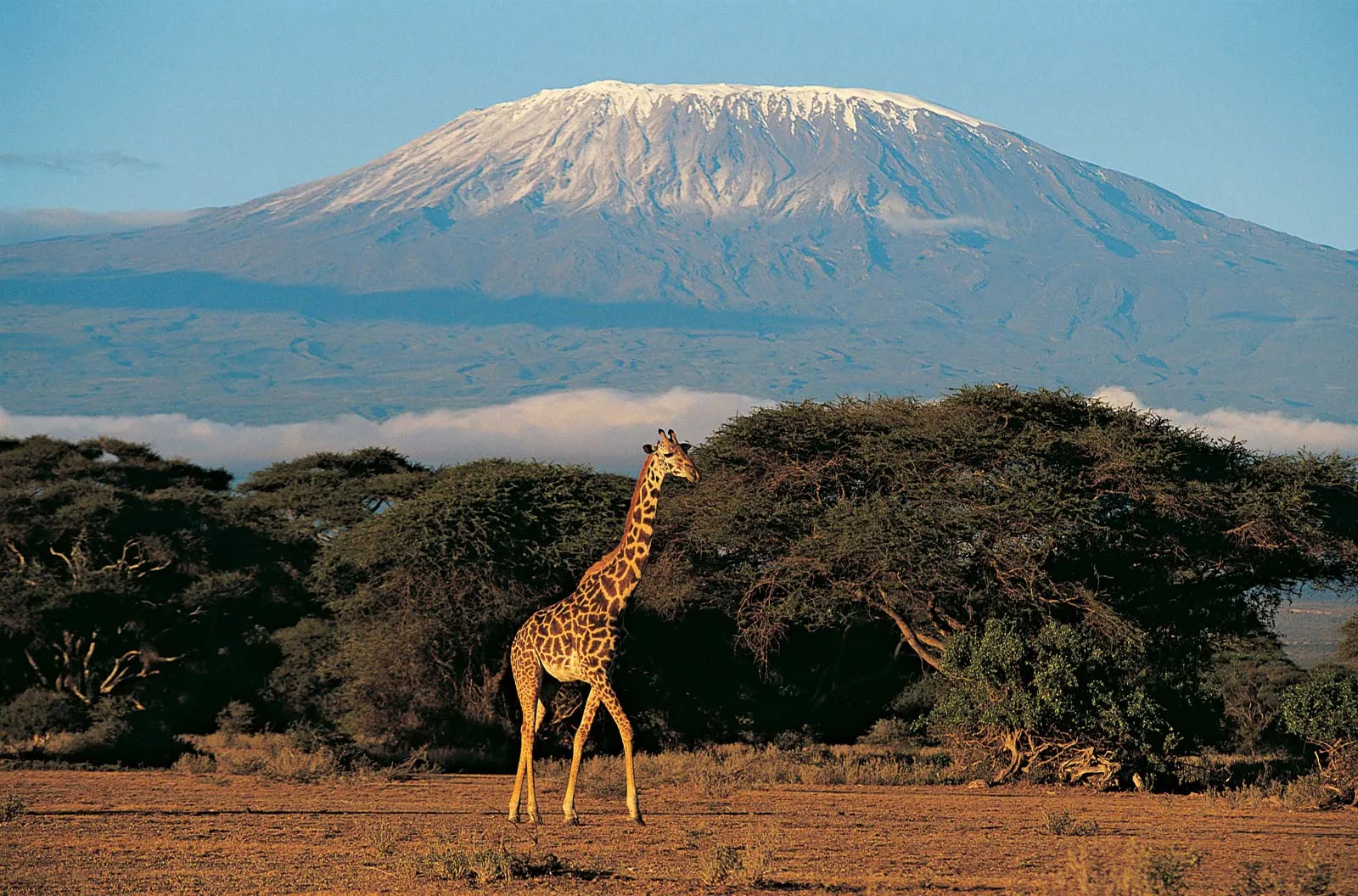Kilimanjaro is in Tanzania